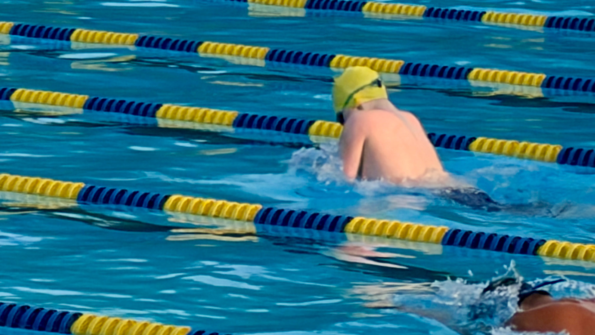 Swimmer driving forward between lane lines